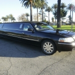 Limousine
